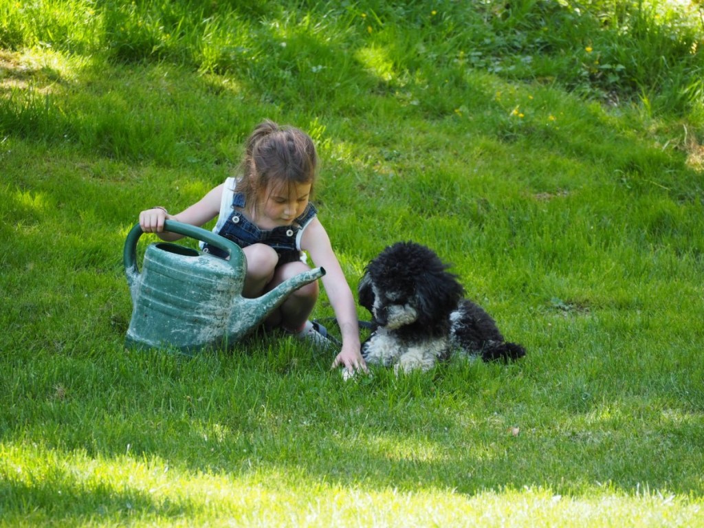 Urlaub mit Hund und Kind Altmühltal